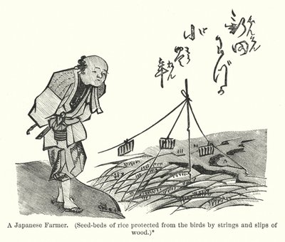 Japonský farmář, semeniště rýže chráněné před ptáky provázky a proužky dřeva (rytina) od American School