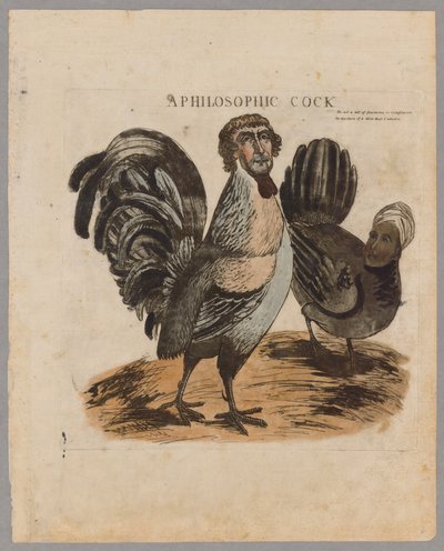 A Philosophic Cock, 1804 od American School