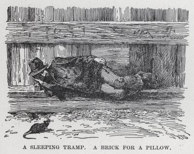 Spící tramp, cihla na polštář (litho) od American School