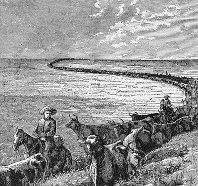 A Trail in the Great Plains, ilustrace z 