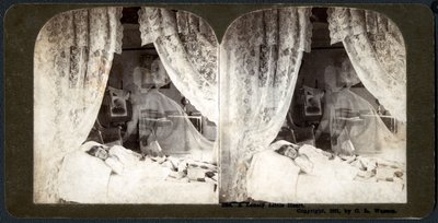 A lonely little heart, 1901 (stereograf) od American School