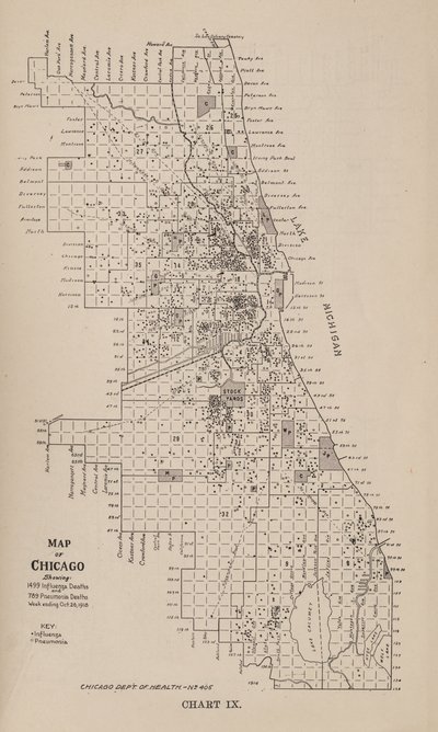 Zpráva o epidemii chřipky ve městě Chicago na podzim roku 1918 od American School
