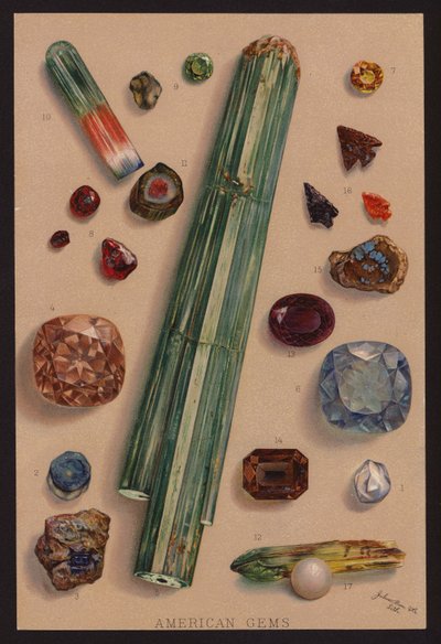 Americké drahokamy (barevná litografie) od American School