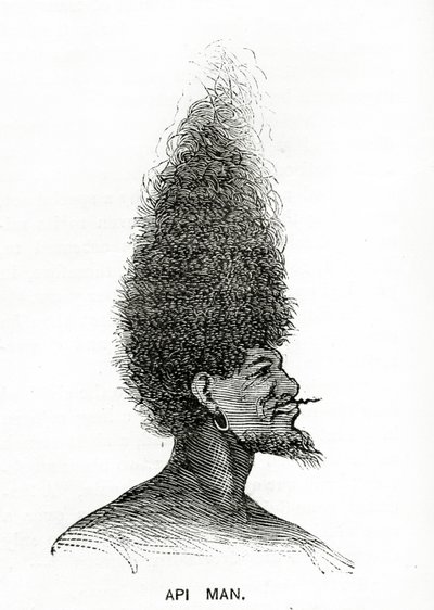 Api Man, ilustrace z Appletons Journal, 4. května 1872 od American School