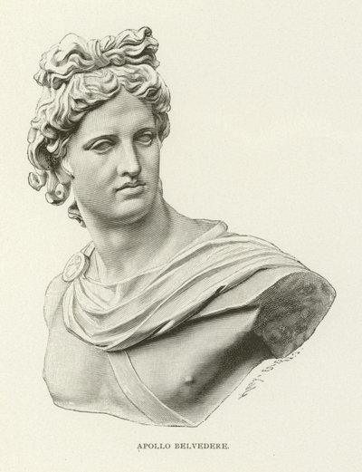Apollo Belvedere od American School