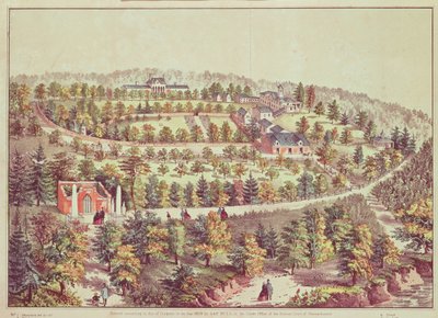 Pohled z ptačí perspektivy na Mount Vernon, 1859 od American School