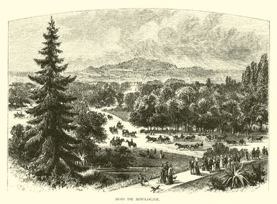 Boulogneský les od American School