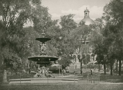 Boston Common (hlubotisk) od American School
