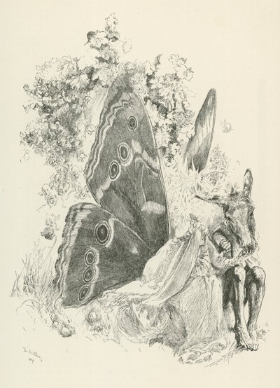 Bottom a Titanie, postavy ze hry Williama Shakespeara Sen noci svatojánské (rytina) od American School
