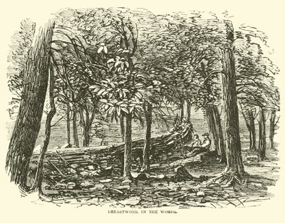 Breastwork v lese, červenec 1863 od American School