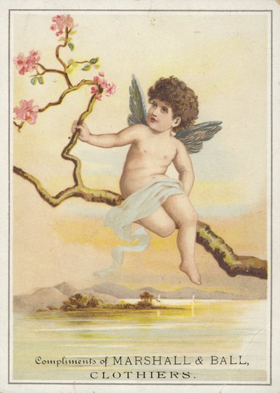 Cherub sedí na větvi nad vodou od American School