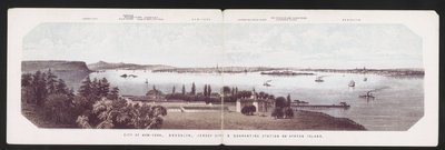 Město New-York, Brooklyn, Jersey City a karanténní stanice na Staten Island, kolem roku 1850 (barevné lito) od American School