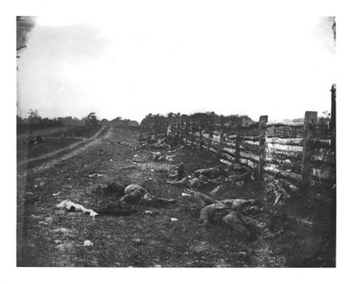 Konfederace mrtvý podél West Side Hagerstown Pike, bitva u Antietamu, 19. září 1862 od American School