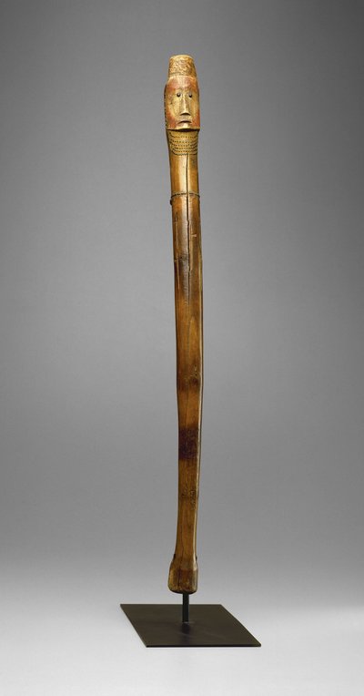 Coup Stick, Yankton Sioux, cca 1880 (dřevo, mosazné hřebíky, pigmentové a horké pilníky) od American School