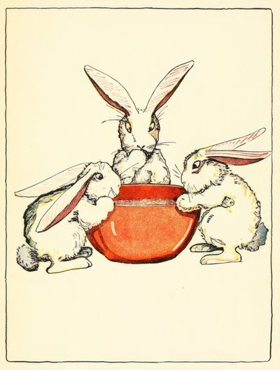 Flopsy, Mopsy a Cotton-Tail měli k večeři chléb, mléko a ostružiny od American School