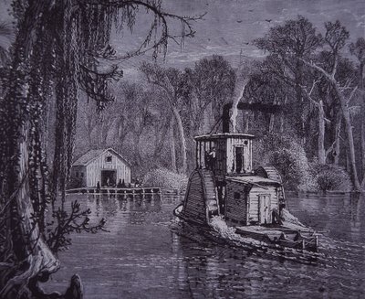 Scéna Florida Everglades od American School