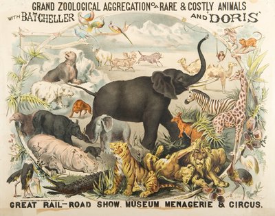 Velká zoologická agregace vzácných a nákladných zvířat s Batchellerem a Doris (chromolitho) od American School