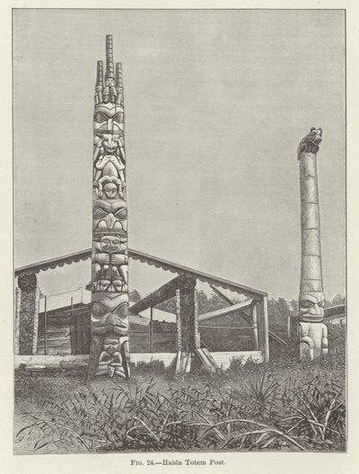 Haida Totem Post od American School