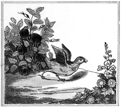 Ilustrace z Pozoruhodného příběhu kuřete Little, 1840 od American School