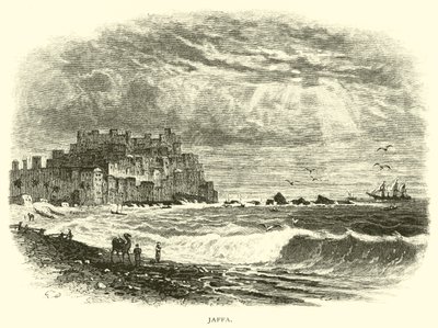 Jaffa od American School