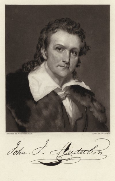 John James Audubon od American School