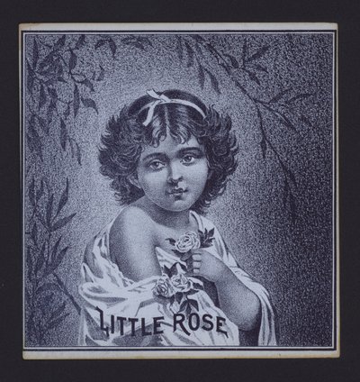 Little Rose, štítek doutníku (litho) od American School