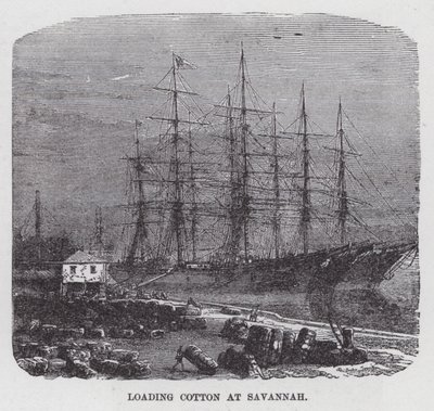 Loading Cotton at Savannah (rytina) od American School