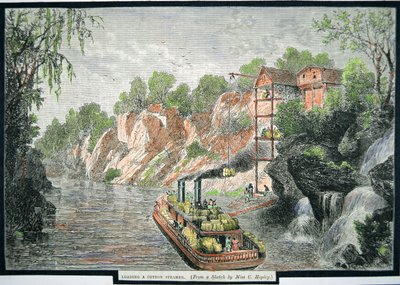 Nakládání do parníku balíky bavlny z plantáže, cca 1860 (barevná rytina) od American School