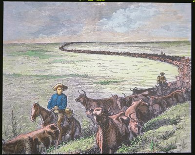 Pohon skotu Longhorn z Texasu do Abilene, Kansas, kolem 70. let 19. století (barevné lito) od American School