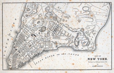 Mapa New Yorku (litho) od American School