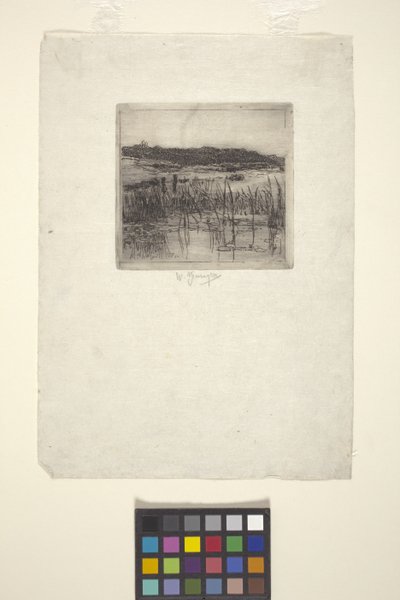 Marsh (lept) od American School
