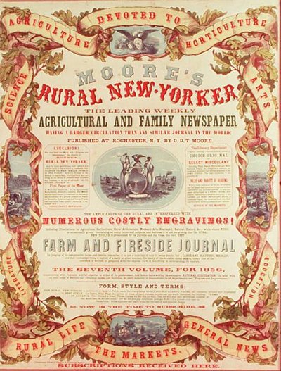 Mooreův venkovský New Yorker od American School