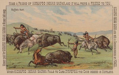 Indián loví buvoly od American School