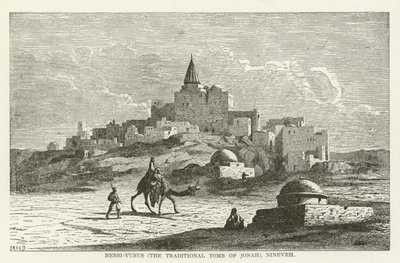 Nebbi-Yunus (tradiční hrobka Jonáše), Ninive od American School