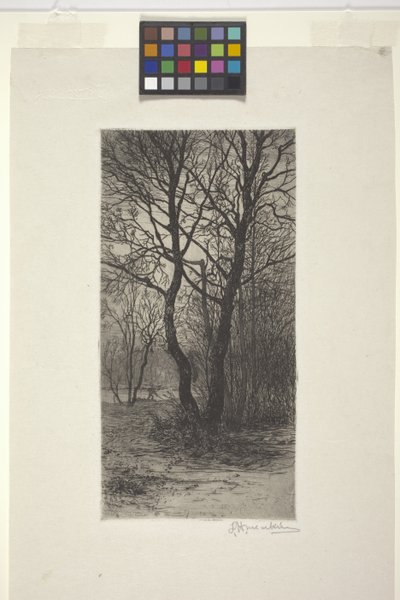 Zámecká zahrada Nymphenburg, poblíž Mnichova (lept) od American School