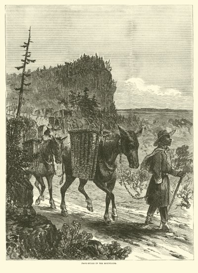 Smečka mezci v horách, únor 1863 od American School