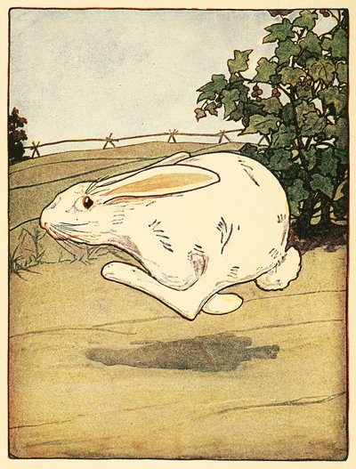 Peter nikdy nepřestal běhat, z hospody The Tale of Peter Rabbit. 1916 barevná litografie, 1916. od American School