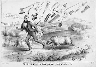 Polk versus vlna, aneb The Harry-cane, publikoval H R Robinson, New York, 1844 od American School