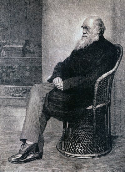Portrét Charlese Darwina od American School