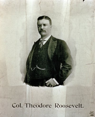 Portrét plukovníka Theodora Roosevelta od American School