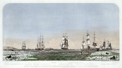 Hospoda Right Whaling in Behering Straits & Arctic Ocean with its Varieties. 1871. od American School