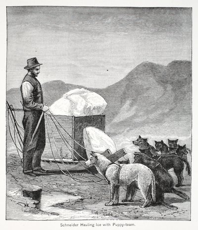 Schneider vozí led s Puppy-team, hospoda. Londýn 1886 od American School