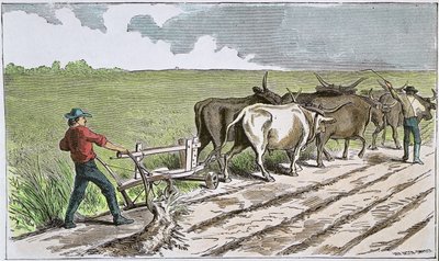 Sodbusters of the American West, c.1880 (barevná rytina) od American School