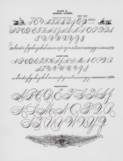 Standardní dopisy; Dámská ruka; Celá paže Capitals (rytina) od American School