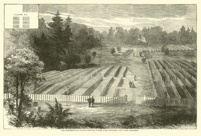 Pohřebiště Andersonville, kde bylo pohřbeno 14 000 vězňů Unie, květen 1865 od American School
