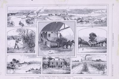 Cukrovarnický průmysl v Louisianě od American School