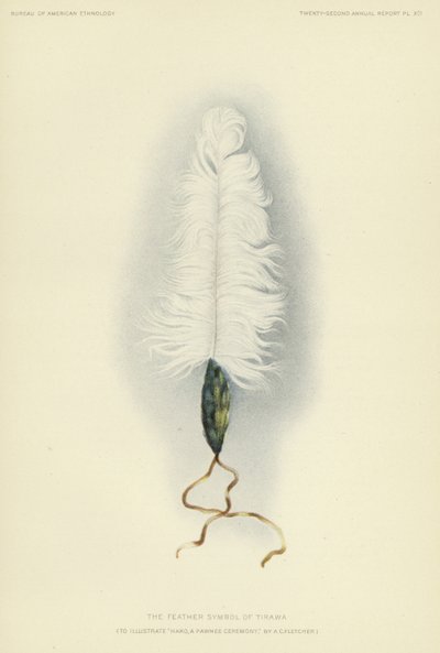 Symbol peří Tirawa (barevná litografie) od American School
