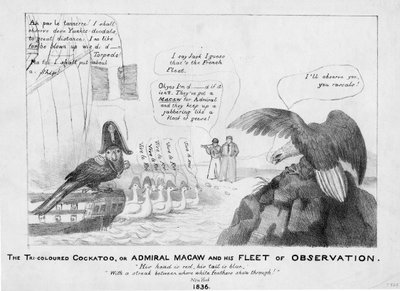 Tříbarevný kakadu, nebo, Admirál Macaw a jeho pozorovací flotila, 1836 od American School