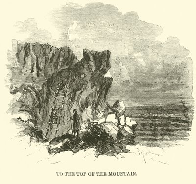 Na vrchol hory, listopad 1863 od American School
