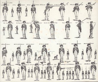 US Manual of Arms (litho) od American School